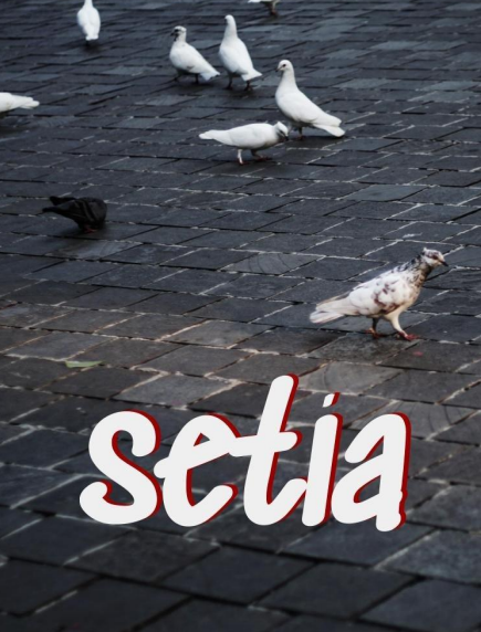Setia - J.S. Khairen (2023)
